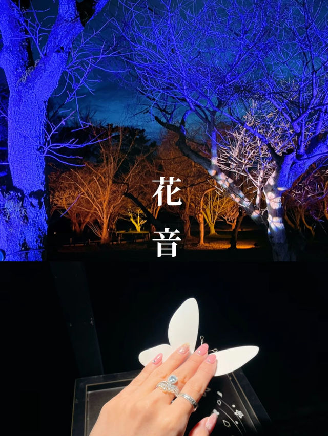  【京都】2024年も開催決定！世界遺産二条城で楽しむ夜桜イベント🌸🏯
