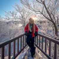 Jingpo lake of China 