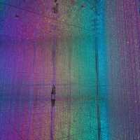 「澳門威尼斯人」5000平方米身體沉浸式美術館Teamlab