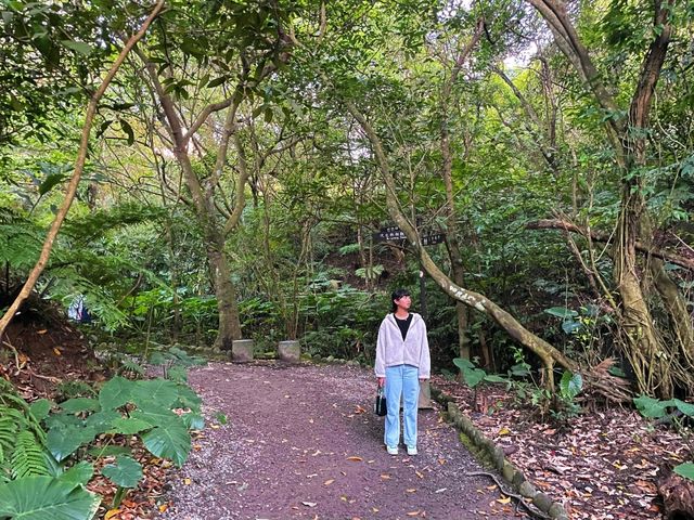 在市區的小森林-富陽自然生態公園