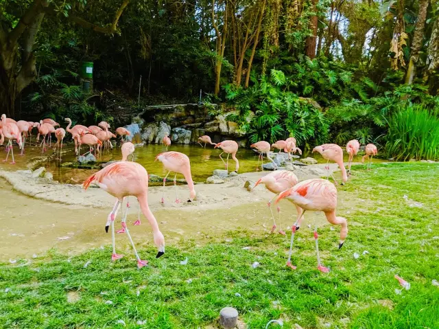 Old Los Angeles Zoo