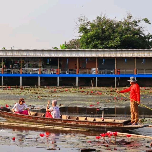 นั่งเรือชม ทุ่งบัวแดง ณ บางเลน นครปฐม