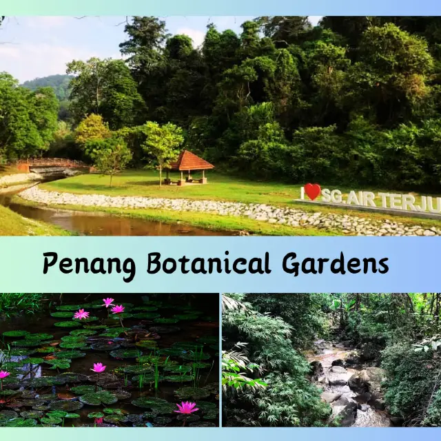 Tranquility at Penang Botanic Gardens 