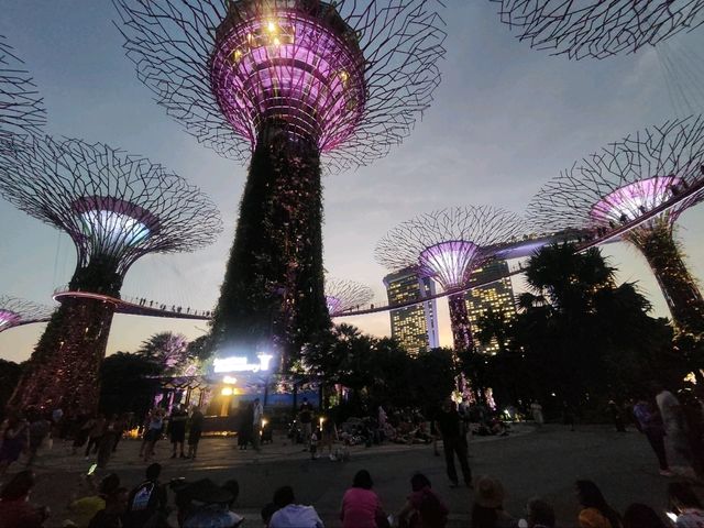 新加坡濱海灣花園天空樹