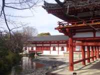 【宇治/京都】世界遺産✨平等院と美しい庭園