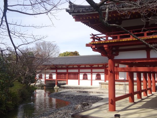 【宇治/京都】世界遺産✨平等院と美しい庭園