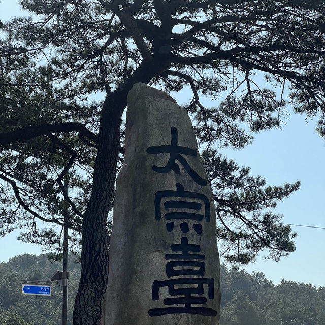 韓國釜山必去景點|太宗台，欣賞壯觀的海景