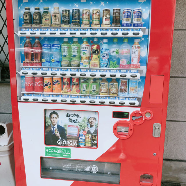 일본 대마도 풍경