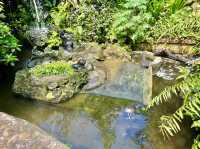 Kuala Lumpur Butterfly Garden