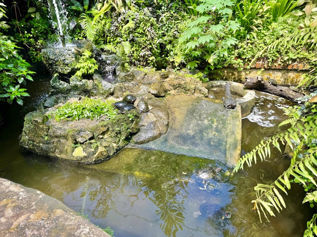 Kuala Lumpur Butterfly Garden