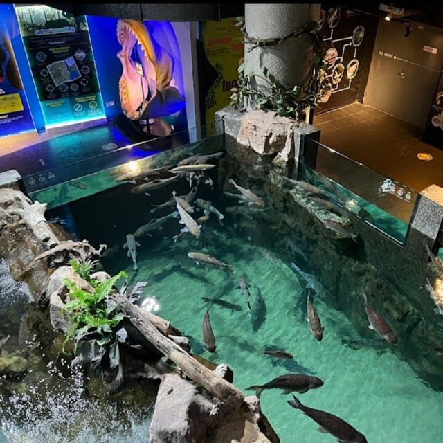 Exploring the Wonders of Aquaria KLCC 