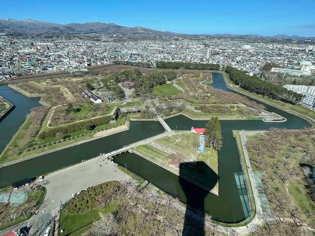 🌸【北海道函館】🌸五稜郭公園櫻花季，留下回憶