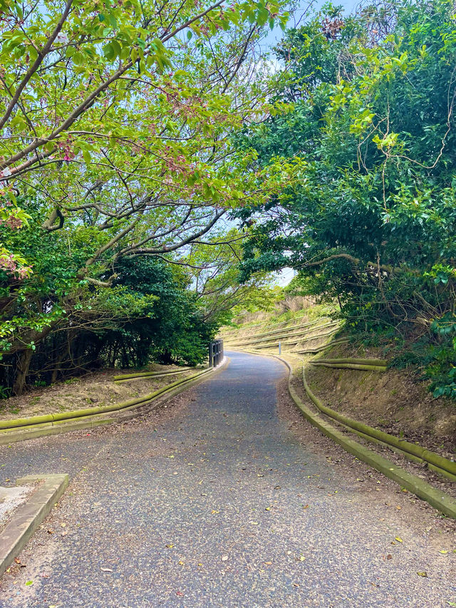 【島根　松江】登録有形文化財の灯台