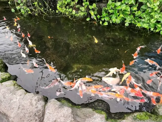 芭達雅海底世界