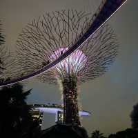 Garden by the bay 