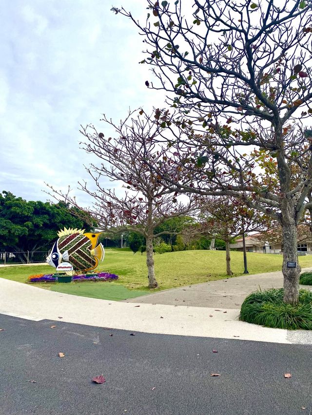 【沖繩海洋博公園】🌳讓遊客瞬間進入綠色世界🌿