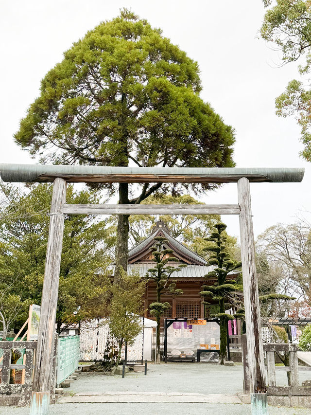 日本九州｜柳川漫活走走🚶‍♂️‍➡️