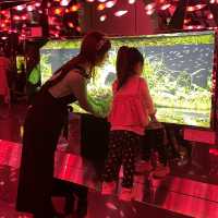 【兵庫】子供と楽しめる！最先端なアート水族館🪼