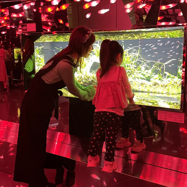 【兵庫】子供と楽しめる！最先端なアート水族館🪼