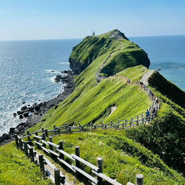 「足摺岬」奇石嶙峋