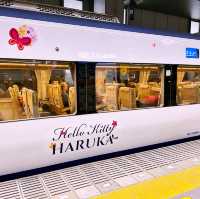 你好🐈吉蒂貓🚂 HARUKA
