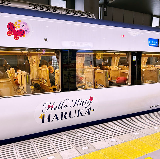 你好🐈吉蒂貓🚂 HARUKA