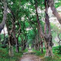 【臺北景點】維多花園：穿越時光的休憩場所