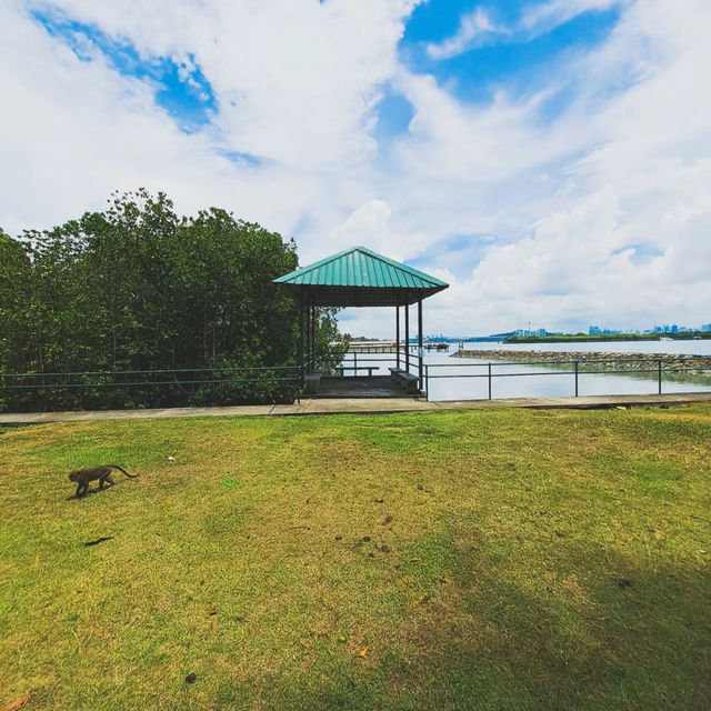 曼谷撒拉公園🏖️城市綠洲