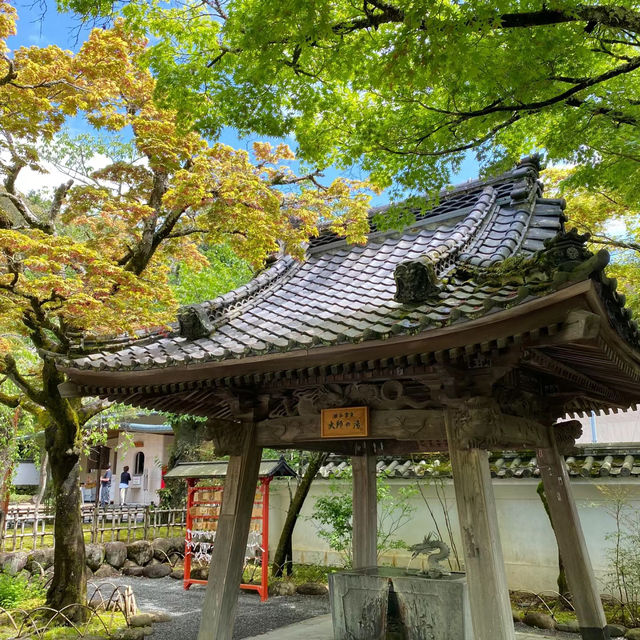 金山彥神社：歷史魅力，自然環境