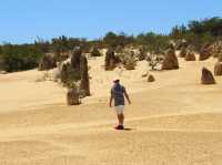 One of A Kind Experience at The Pinnacles Desert 🇦🇺