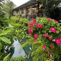 🌟Agalin Garden Room Samutprakarn