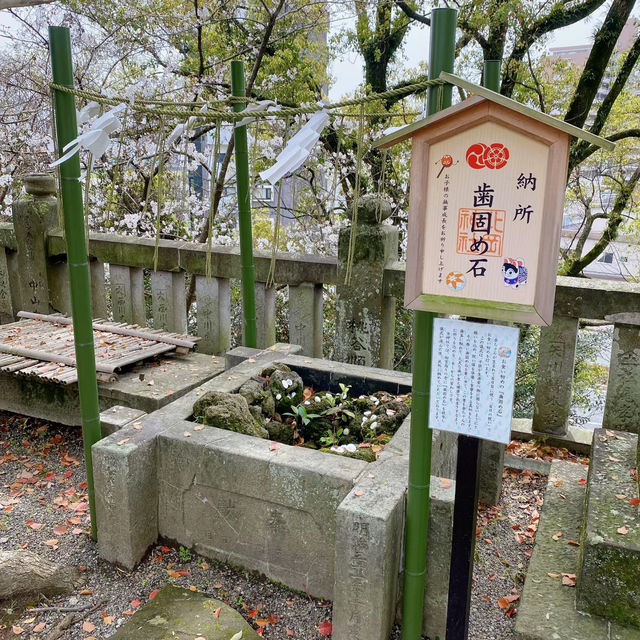 東京郊區最優美的自然公園-大堀川水邊公園