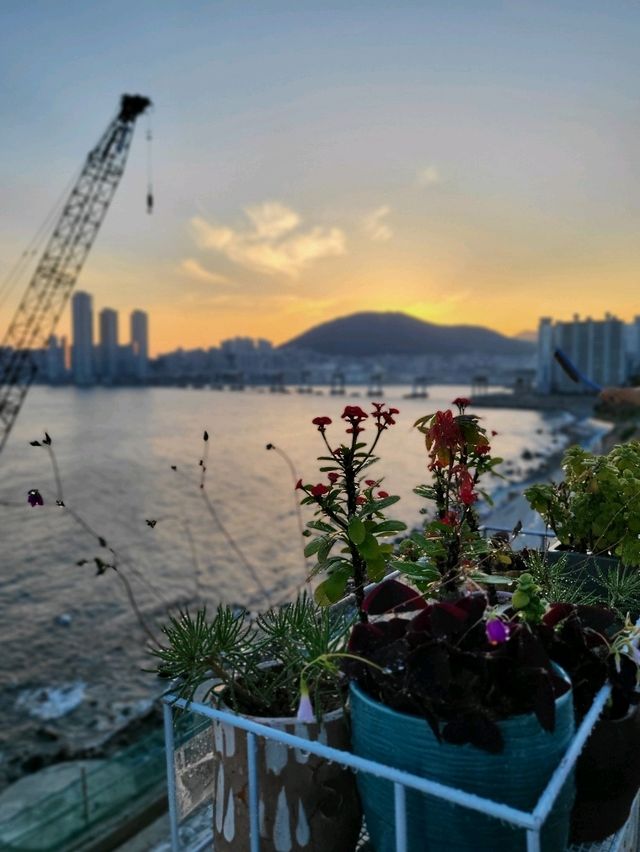 조용하고 한적했던 흰여울문화마을의 일몰🧡