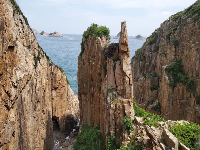 浩浩蕩蕩一家人去行山不錯👍