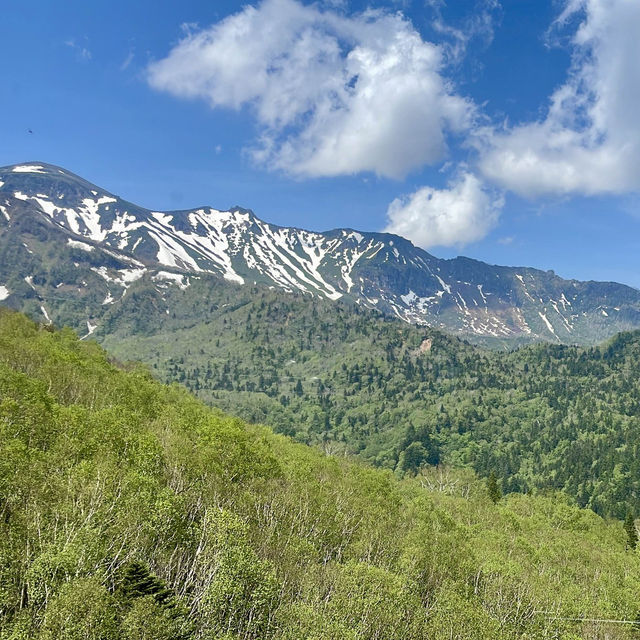 Unveil Hokkaido's Alpine Wonders