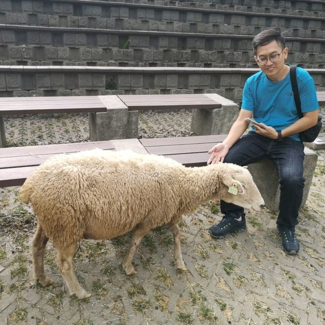 Qing Jing Farm in Taiwan 