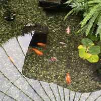 Invercargill皇后公園
