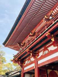 🇯🇵日本福岡太宰府一日遊景點🌸 太宰府表參道好吃又好逛！