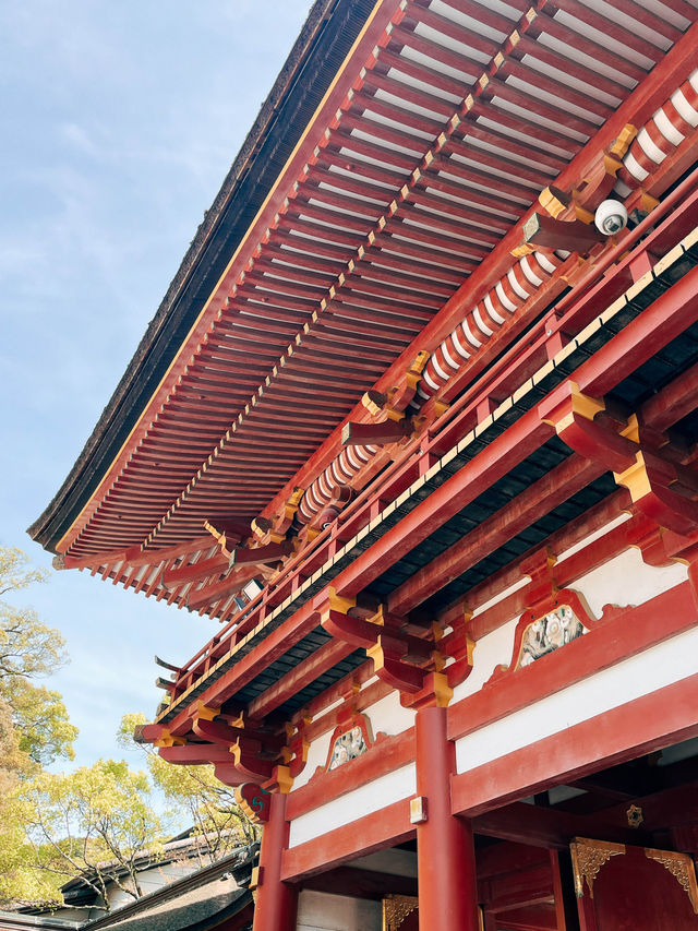 🇯🇵日本福岡太宰府一日遊景點🌸 太宰府表參道好吃又好逛！