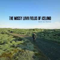 The Mossy lava of Iceland เส้นทางแห่งทุ่งมอส
