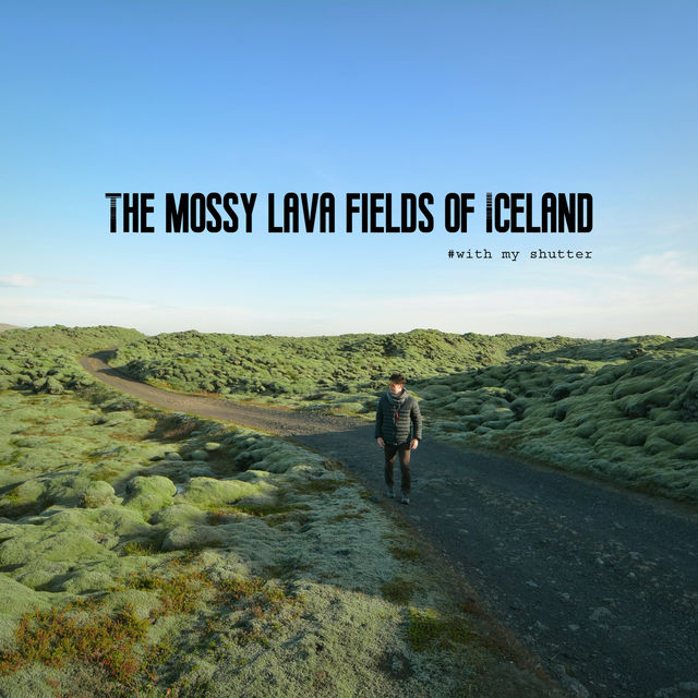 The Mossy lava of Iceland เส้นทางแห่งทุ่งมอส