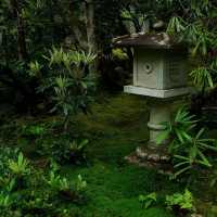 和光院：山水畫捲，展現日本園藝藝術
