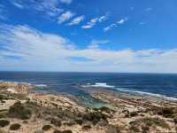 Salmon Bay