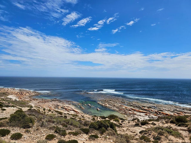 Salmon Bay