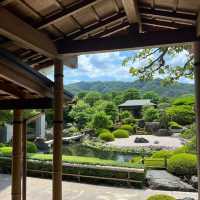 「森之庭院」綠意盎然