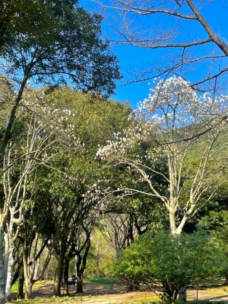제주도 식물원 가볼만한곳🌱