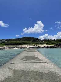 奄美大島　まさに天然のプール🏊あやまる岬観光公園