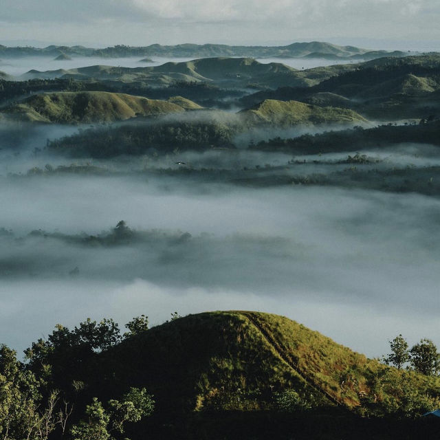 Discover Bohol with us!❤️