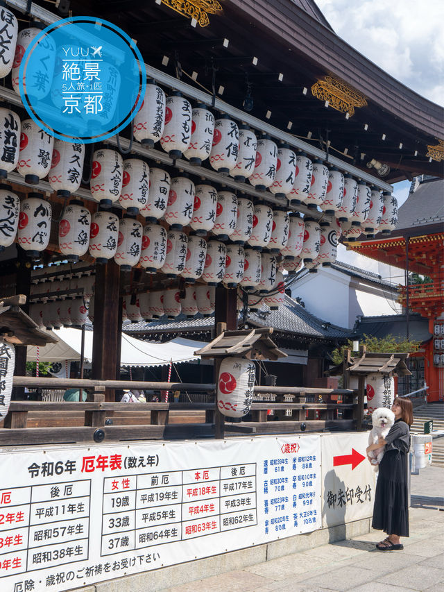 🐶OK✨知ってた？八坂神社に美容水がある✨気になるところに浸すだけ✨この夏ぜひ💫