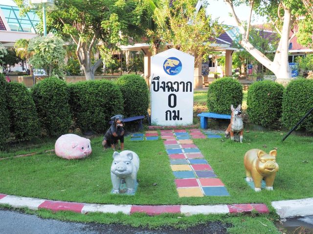 บึงฉวาก สุพรรณบุรี